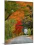Road Lined in Fall Color, Andover, New England, New Hampshire, USA-Jaynes Gallery-Mounted Premium Photographic Print