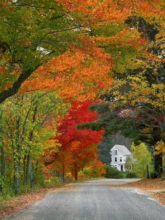 https://imgc.allpostersimages.com/img/posters/road-lined-in-fall-color-andover-new-england-new-hampshire-usa_u-L-PN6GTR0.jpg?artPerspective=n