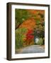 Road Lined in Fall Color, Andover, New England, New Hampshire, USA-Jaynes Gallery-Framed Photographic Print