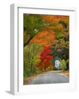 Road Lined in Fall Color, Andover, New England, New Hampshire, USA-Jaynes Gallery-Framed Photographic Print