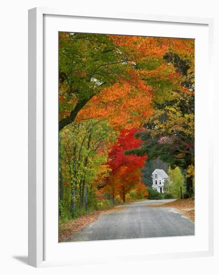 Road Lined in Fall Color, Andover, New England, New Hampshire, USA-Jaynes Gallery-Framed Photographic Print