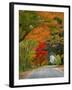 Road Lined in Fall Color, Andover, New England, New Hampshire, USA-Jaynes Gallery-Framed Photographic Print