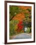 Road Lined in Fall Color, Andover, New England, New Hampshire, USA-Jaynes Gallery-Framed Photographic Print