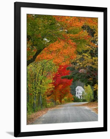 Road Lined in Fall Color, Andover, New England, New Hampshire, USA-Jaynes Gallery-Framed Photographic Print