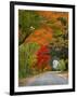 Road Lined in Fall Color, Andover, New England, New Hampshire, USA-Jaynes Gallery-Framed Photographic Print