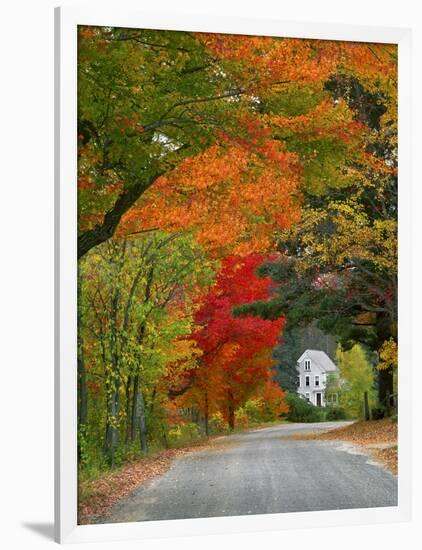 Road Lined in Fall Color, Andover, New England, New Hampshire, USA-Jaynes Gallery-Framed Photographic Print