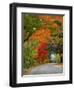 Road Lined in Fall Color, Andover, New England, New Hampshire, USA-Jaynes Gallery-Framed Photographic Print