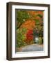 Road Lined in Fall Color, Andover, New England, New Hampshire, USA-Jaynes Gallery-Framed Premium Photographic Print