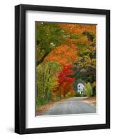 Road Lined in Fall Color, Andover, New England, New Hampshire, USA-Jaynes Gallery-Framed Premium Photographic Print