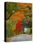 Road Lined in Fall Color, Andover, New England, New Hampshire, USA-Jaynes Gallery-Stretched Canvas