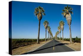 Road Lined in Palm Trees in California-imging-Stretched Canvas