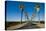 Road Lined in Palm Trees in California-imging-Stretched Canvas