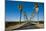 Road Lined in Palm Trees in California-imging-Mounted Photographic Print
