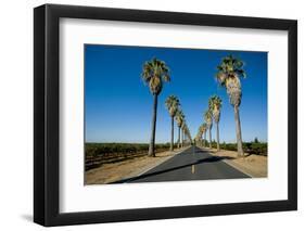 Road Lined in Palm Trees in California-imging-Framed Photographic Print