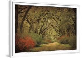 Road Lined With Oaks & Flowers-William Guion-Framed Giclee Print