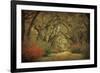 Road Lined With Oaks & Flowers-William Guion-Framed Giclee Print