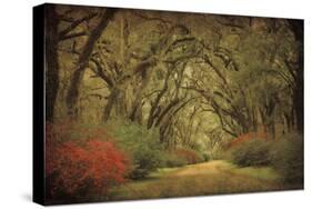 Road Lined With Oaks & Flowers-William Guion-Stretched Canvas