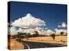 Road, Near Armidale, New South Wales, Australia-Jochen Schlenker-Stretched Canvas