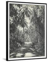 Road Near Colombo, Ceylon, February 1912-English Photographer-Framed Premium Giclee Print