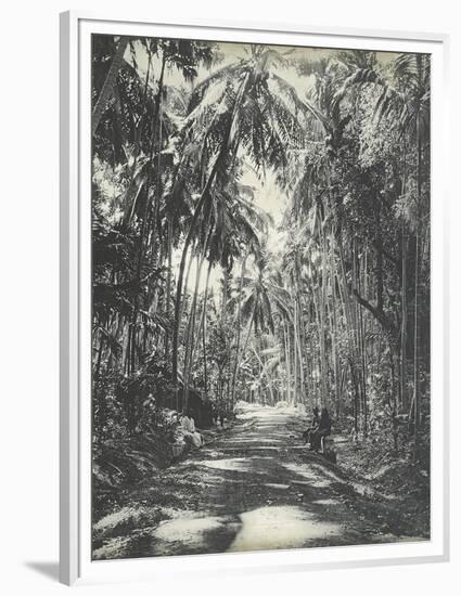 Road Near Colombo, Ceylon, February 1912-English Photographer-Framed Premium Giclee Print