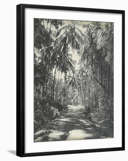 Road Near Colombo, Ceylon, February 1912-English Photographer-Framed Giclee Print