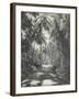 Road Near Colombo, Ceylon, February 1912-English Photographer-Framed Giclee Print