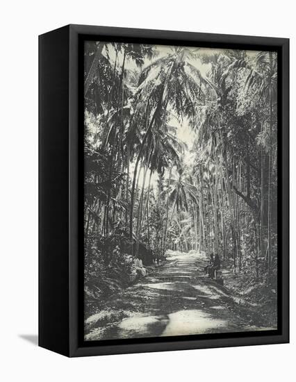 Road Near Colombo, Ceylon, February 1912-English Photographer-Framed Stretched Canvas