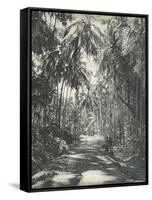 Road Near Colombo, Ceylon, February 1912-English Photographer-Framed Stretched Canvas