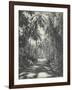 Road Near Colombo, Ceylon, February 1912-English Photographer-Framed Giclee Print