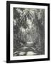 Road Near Colombo, Ceylon, February 1912-English Photographer-Framed Giclee Print