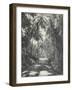 Road Near Colombo, Ceylon, February 1912-English Photographer-Framed Giclee Print