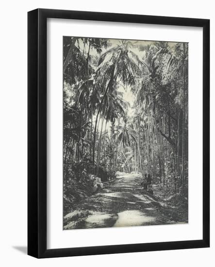 Road Near Colombo, Ceylon, February 1912-English Photographer-Framed Giclee Print