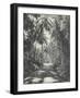 Road Near Colombo, Ceylon, February 1912-English Photographer-Framed Giclee Print