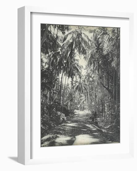 Road Near Colombo, Ceylon, February 1912-English Photographer-Framed Giclee Print