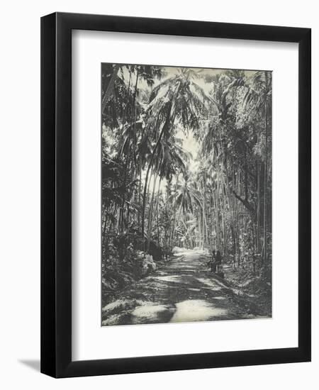 Road Near Colombo, Ceylon, February 1912-English Photographer-Framed Giclee Print