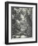 Road Near Colombo, Ceylon, February 1912-English Photographer-Framed Giclee Print