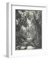 Road Near Colombo, Ceylon, February 1912-English Photographer-Framed Giclee Print