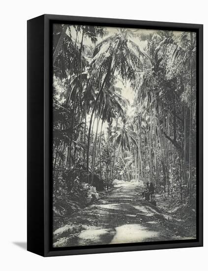 Road Near Colombo, Ceylon, February 1912-English Photographer-Framed Stretched Canvas