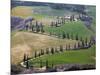 Road Near Montepulciano, Tuscany-Vadim Ratsenskiy-Mounted Art Print