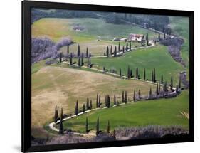 Road Near Montepulciano, Tuscany-Vadim Ratsenskiy-Framed Art Print