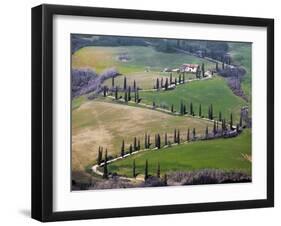 Road Near Montepulciano, Tuscany-Vadim Ratsenskiy-Framed Art Print