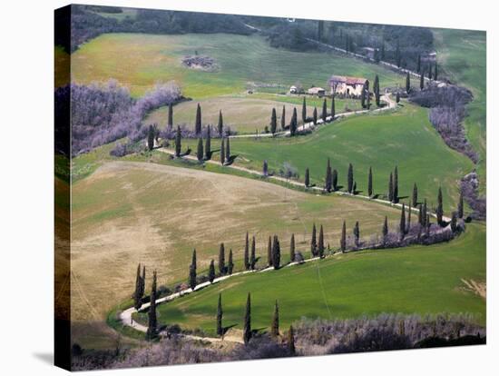 Road Near Montepulciano, Tuscany-Vadim Ratsenskiy-Stretched Canvas