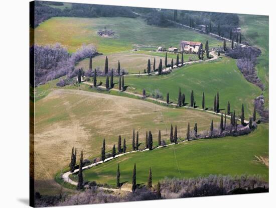 Road Near Montepulciano, Tuscany-Vadim Ratsenskiy-Stretched Canvas