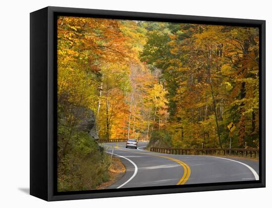 Road Nr. Lake George, New York State, USA-Demetrio Carrasco-Framed Stretched Canvas