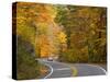 Road Nr. Lake George, New York State, USA-Demetrio Carrasco-Stretched Canvas