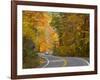 Road Nr. Lake George, New York State, USA-Demetrio Carrasco-Framed Photographic Print