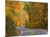 Road Nr. Lake George, New York State, USA-Demetrio Carrasco-Mounted Photographic Print