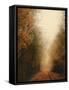 Road of Mysteries I-Amy Melious-Framed Stretched Canvas