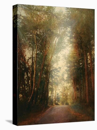 Road of Mysteries II-Amy Melious-Stretched Canvas