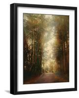 Road of Mysteries II-Amy Melious-Framed Art Print